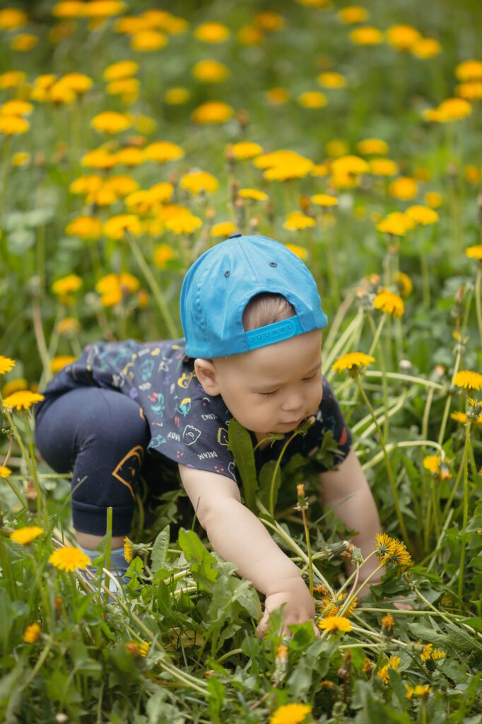 baby playing in a field of dandelions