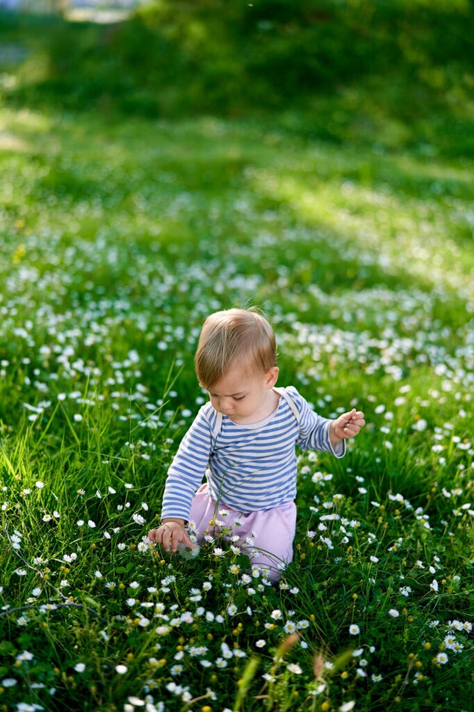 Kid sits on his knees on a green lawn with white daisies